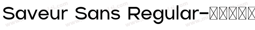 Saveur Sans Regular字体转换